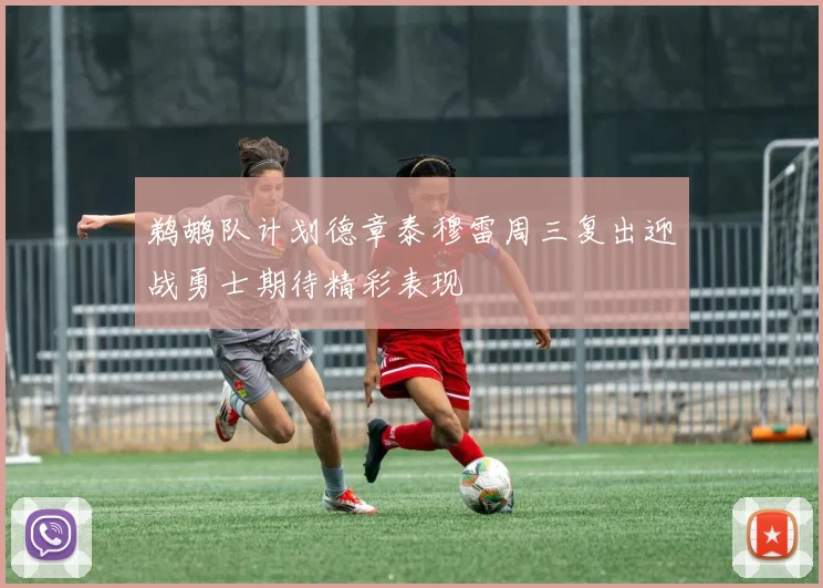 鹈鹕队计划德章泰穆雷周三复出迎战勇士期待精彩表现