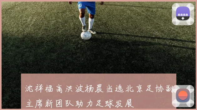 沈祥福高洪波杨晨当选北京足协副主席新团队助力足球发展