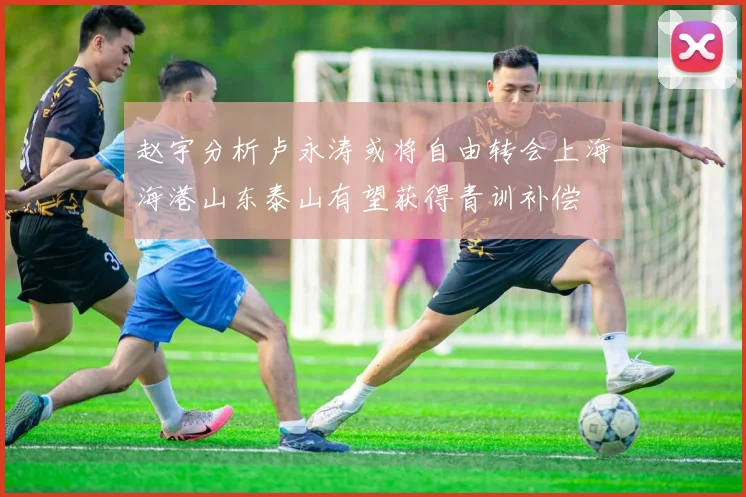 赵宇分析卢永涛或将自由转会上海海港山东泰山有望获得青训补偿